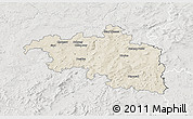 Shaded Relief 3D Map of Plzeň-jih, lighten, semi-desaturated