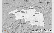 Gray Map of Plzeň-jih