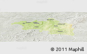 Physical Panoramic Map of Plzeň-jih, lighten, semi-desaturated