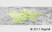 Physical Panoramic Map of Plzeň-sever, desaturated