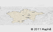 Shaded Relief Panoramic Map of Plzeň-sever, lighten, desaturated