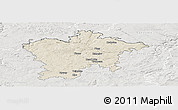Shaded Relief Panoramic Map of Plzeň-sever, lighten, semi-desaturated