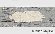 Shaded Relief Panoramic Map of Tachov, darken, semi-desaturated