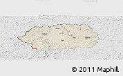 Shaded Relief Panoramic Map of Tachov, lighten, desaturated