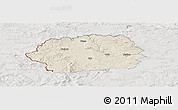 Shaded Relief Panoramic Map of Tachov, lighten, semi-desaturated