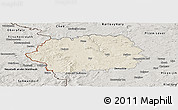 Shaded Relief Panoramic Map of Tachov, semi-desaturated