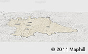 Shaded Relief Panoramic Map of Benešov, lighten, semi-desaturated