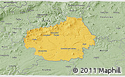 Savanna Style 3D Map of Litoměřice