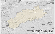 Shaded Relief 3D Map of Louny, desaturated