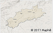 Shaded Relief 3D Map of Louny, lighten