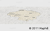 Shaded Relief Panoramic Map of Havlíčkův Brod, lighten, semi-desaturated