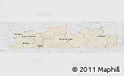 Shaded Relief Panoramic Map of Bas-Zaire, lighten, desaturated