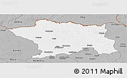 Gray Panoramic Map of Ango