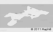 Gray Panoramic Map of Rungu, single color outside