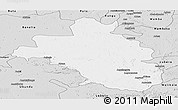 Silver Style Panoramic Map of Bafwasende