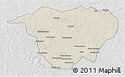 Shaded Relief 3D Map of Mweka, lighten, desaturated