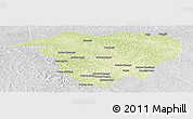 Physical Panoramic Map of Mweka, lighten, desaturated