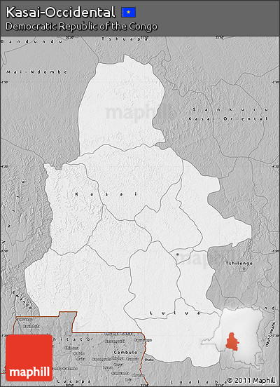 Gray Map of Kasai-Occidental