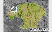 Satellite 3D Map of Kinshasa, desaturated