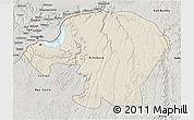 Shaded Relief 3D Map of Kinshasa, semi-desaturated