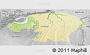 Physical Panoramic Map of Kinshasa, desaturated