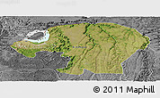 Satellite Panoramic Map of Kinshasa, desaturated