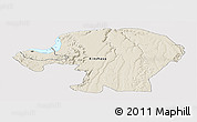 Shaded Relief Panoramic Map of Kinshasa, single color outside