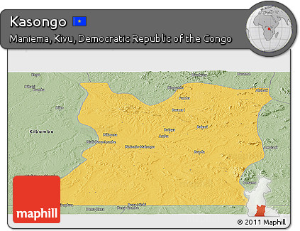 Savanna Style Panoramic Map of Kasongo
