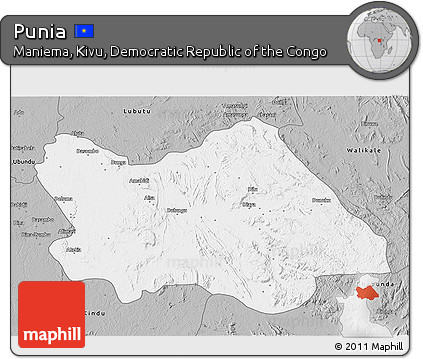 Gray 3D Map of Punia