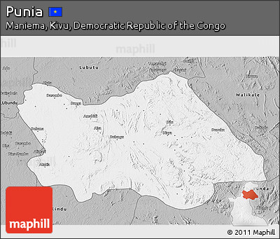 Gray 3D Map of Punia