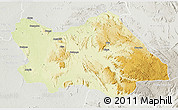 Physical 3D Map of Punia, lighten, semi-desaturated
