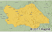 Savanna Style 3D Map of Punia
