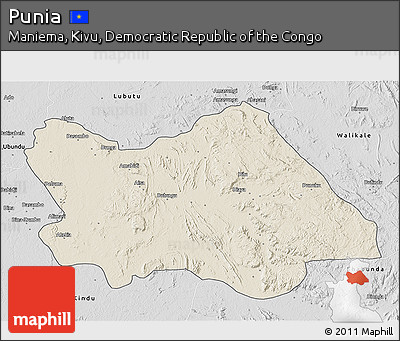 Shaded Relief 3D Map of Punia, desaturated