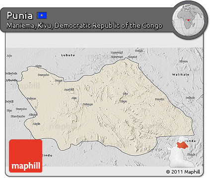 Shaded Relief 3D Map of Punia, desaturated