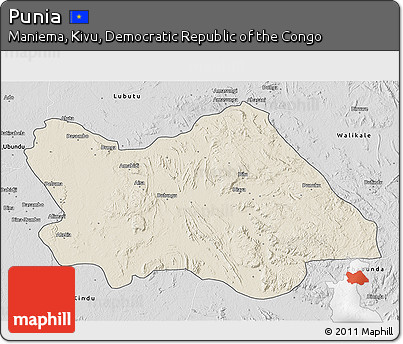 Shaded Relief 3D Map of Punia, desaturated