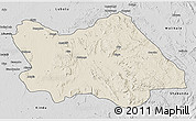 Shaded Relief 3D Map of Punia, desaturated