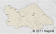 Shaded Relief 3D Map of Punia, lighten, desaturated
