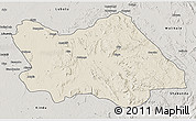 Shaded Relief 3D Map of Punia, semi-desaturated