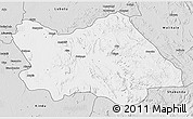 Silver Style 3D Map of Punia