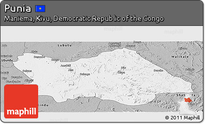 Gray Panoramic Map of Punia