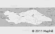 Gray Panoramic Map of Punia