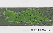 Satellite Panoramic Map of Punia, semi-desaturated