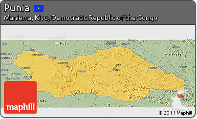 Savanna Style Panoramic Map of Punia