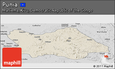 Shaded Relief Panoramic Map of Punia, desaturated