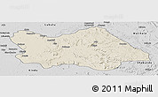 Shaded Relief Panoramic Map of Punia, desaturated