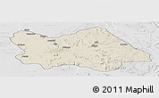 Shaded Relief Panoramic Map of Punia, lighten, desaturated