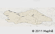 Shaded Relief Panoramic Map of Punia, lighten