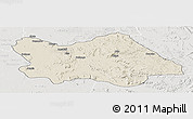 Shaded Relief Panoramic Map of Punia, lighten, semi-desaturated