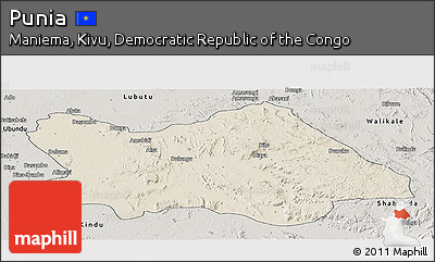 Shaded Relief Panoramic Map of Punia, semi-desaturated
