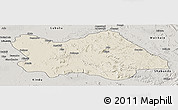 Shaded Relief Panoramic Map of Punia, semi-desaturated